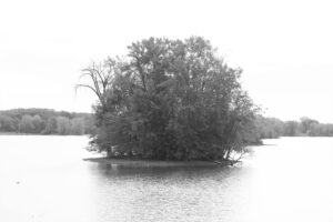 rallye-st-eustache-ninja-haggblom-02-clubphotosaintemarthesurlelac