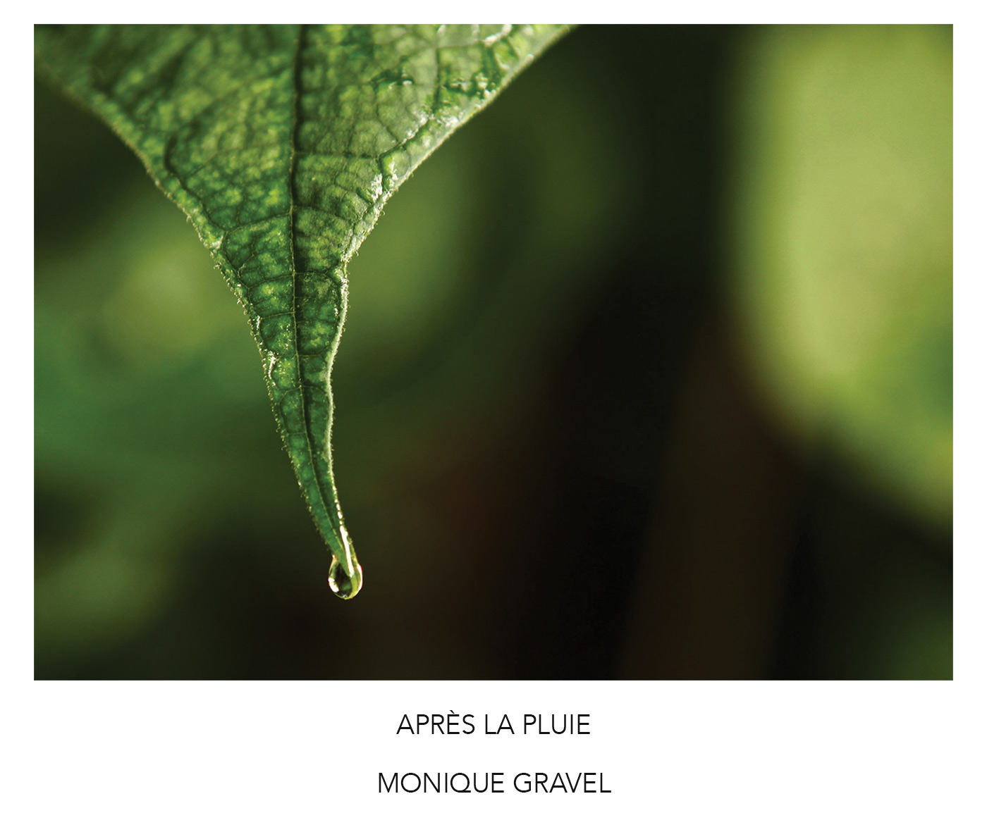 apres-la-pluie_monique-gravel